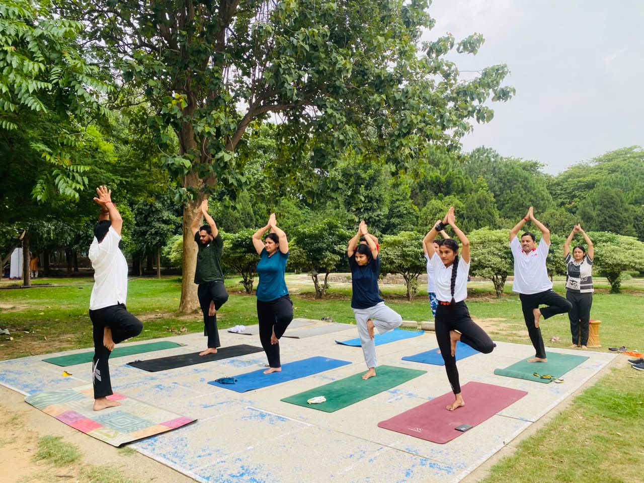 Group yoga class outdoors